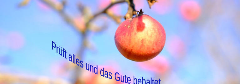 Prüft alles - Jahreslosung mit Apfel