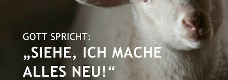 Jahreslosung_2026 (A5) - 9